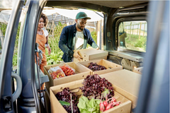 <strong>Delivery Expenses</strong>