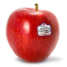 Gala Apple