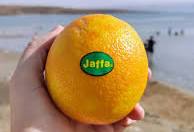 Jaffa Orange